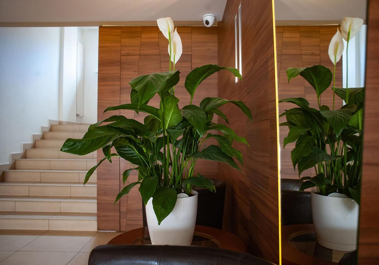 Livia Hotel Wolomin